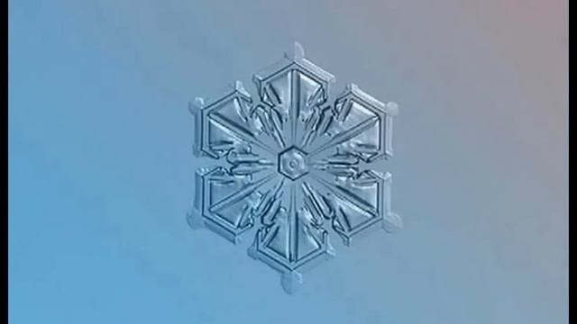 Treasures of the Snow смотреть онлайн