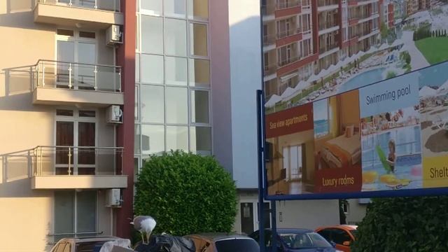 Большая чайка в Равде смотреть онлайн