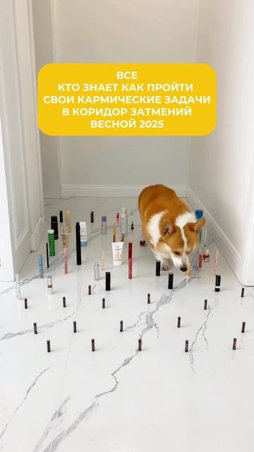 А вы подготовились к коридору затмений?