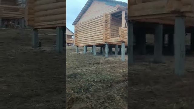 Февраль 2025. Сруб бани 6х6 с террасой 2 метра под двускатную крышу. Часть №3. смотреть онлайн