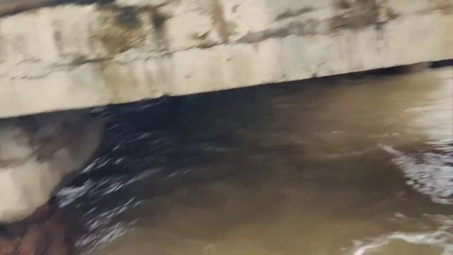 How I Spent My Whole MONSOON AT SEA! смотреть онлайн