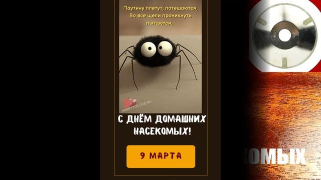 9 марта Международный день домашних насекомых