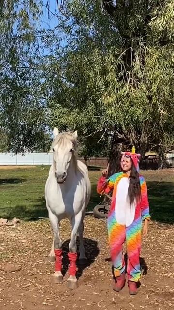 Назови мне свой любимый цвет #лошади #love #horse смотреть онлайн