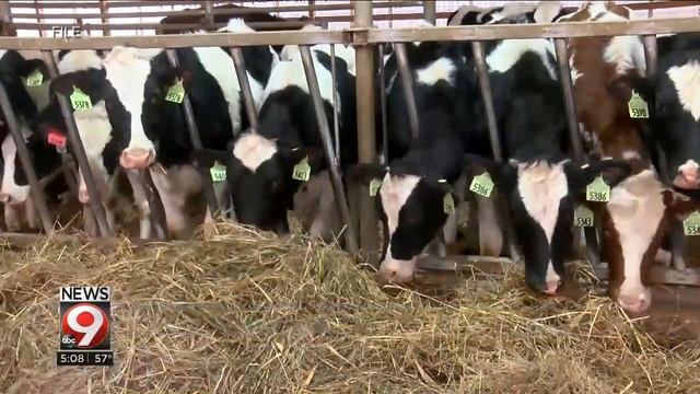 WAOW: Sen. Baldwin Calls on FDA to Crack Down on Lab-Grown Imitation Dairy Products смотреть онлайн