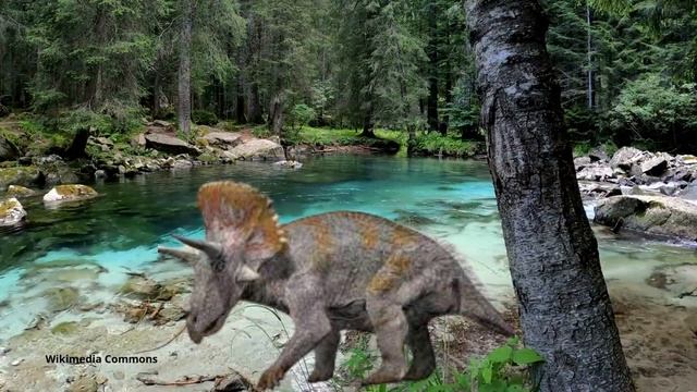 Discovering the Mighty Triceratops An Inside Look at the Life of a Herbivorous Dinosaur смотреть онлайн