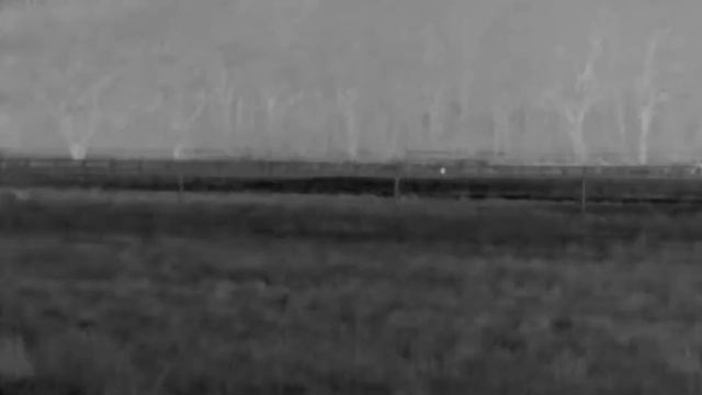 4 Foxes In A Night смотреть онлайн