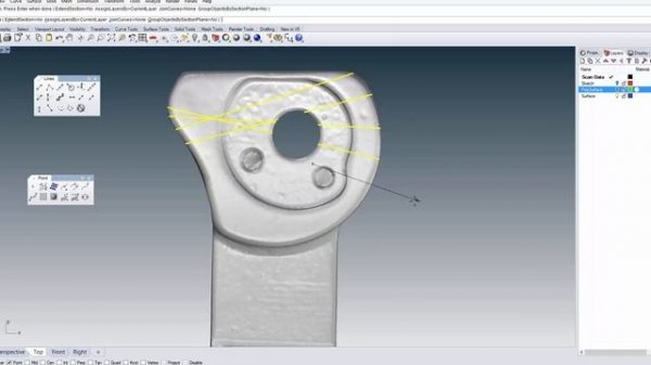 Rhinoceros reverse engineering from scan data