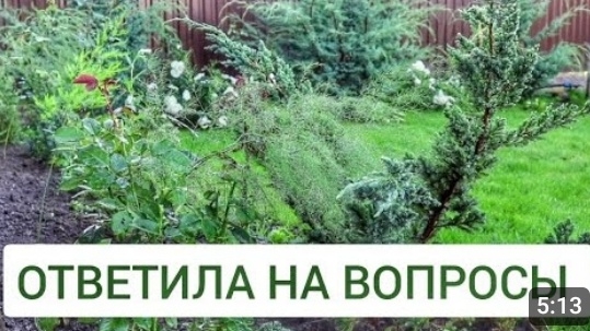 ОТВЕТИЛА НА ВОПРОСЫ. 26.08.2024г. смотреть онлайн