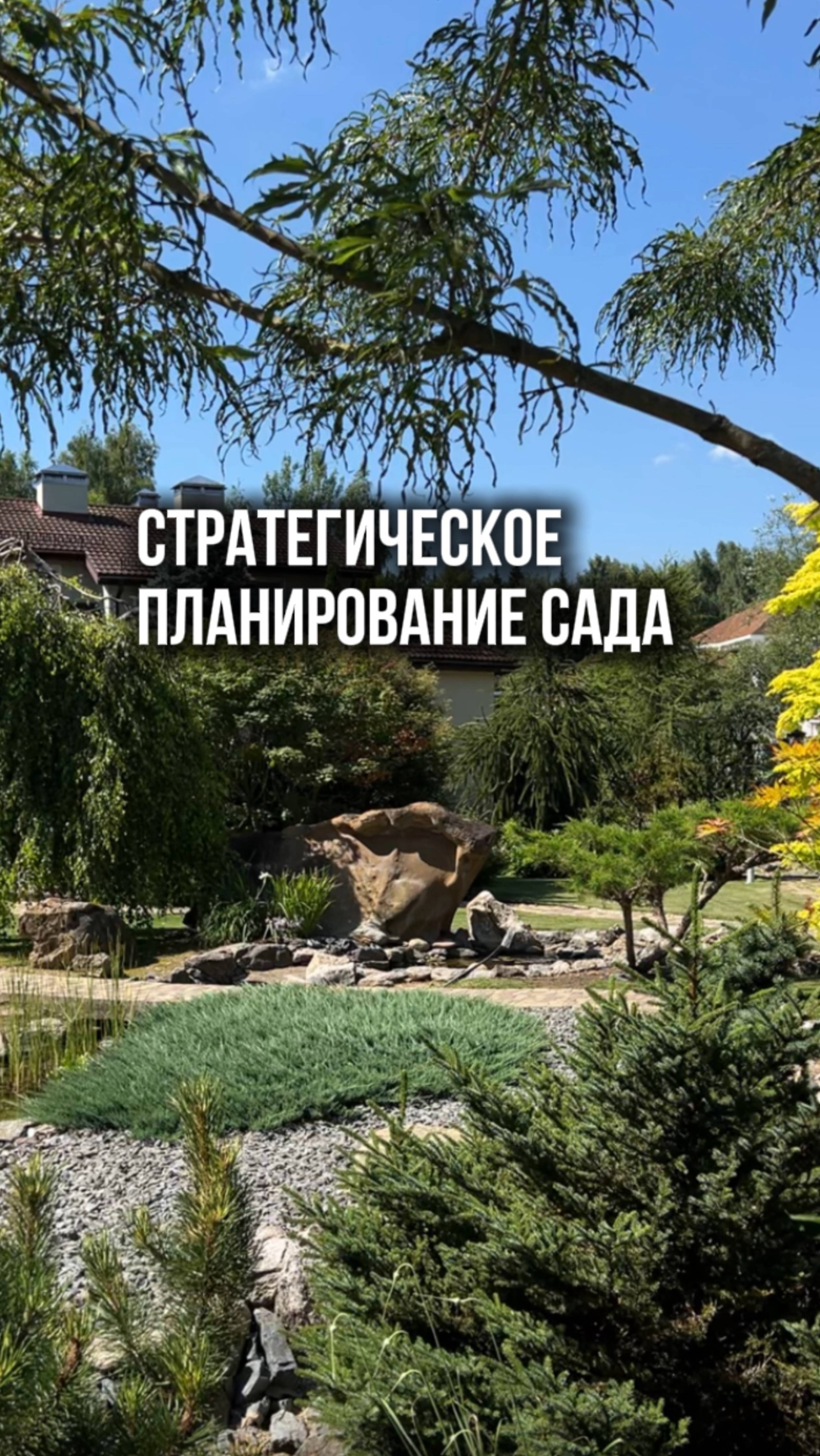 Стратегическое планирование сада. Ссылка в описании👇 смотреть онлайн