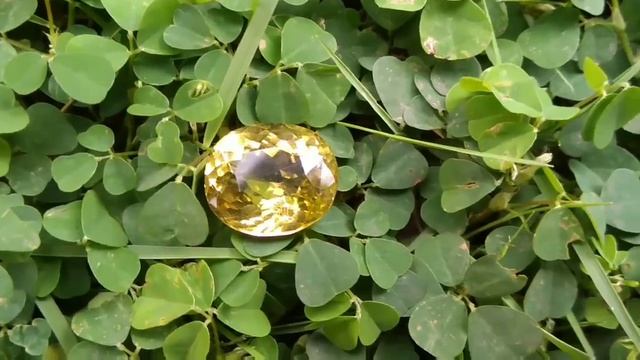 NATURAL CITRINE | AMETHYST | LEMON QUARTZ GEMSTONES | SAMEERA GEMS смотреть онлайн