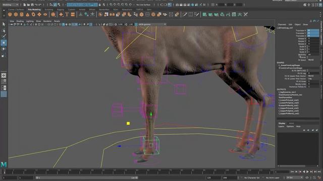 Deer animation rig demo смотреть онлайн