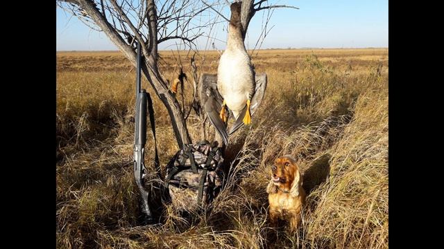 Рыбалка, охота - архив смотреть онлайн