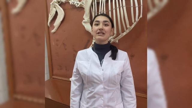 44 Колл. раб. Сердюков Д М Утарбаева А.М. ОГАУ смотреть онлайн