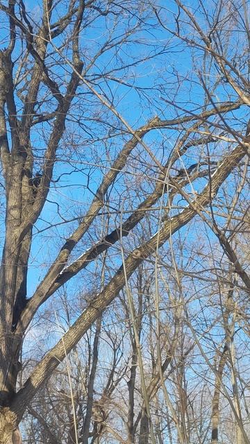 Мороз и солнце – день чудесный❄❤ 🌟 смотреть онлайн