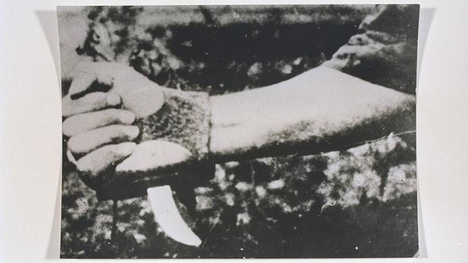 ПЕТР БРЗИЦА– Больной ВЫРОДОК Наспор УБИВШИЙ 1360 Человек смотреть онлайн