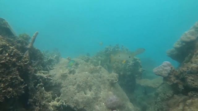 A journey to the ends of the world: discover the Solomon Islands before they disappear смотреть онлайн