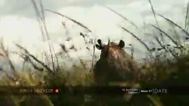 Black rhino charges смотреть онлайн
