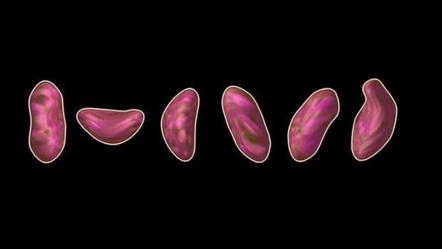 Blender shape key test смотреть онлайн