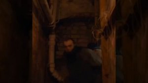 бык (2019)