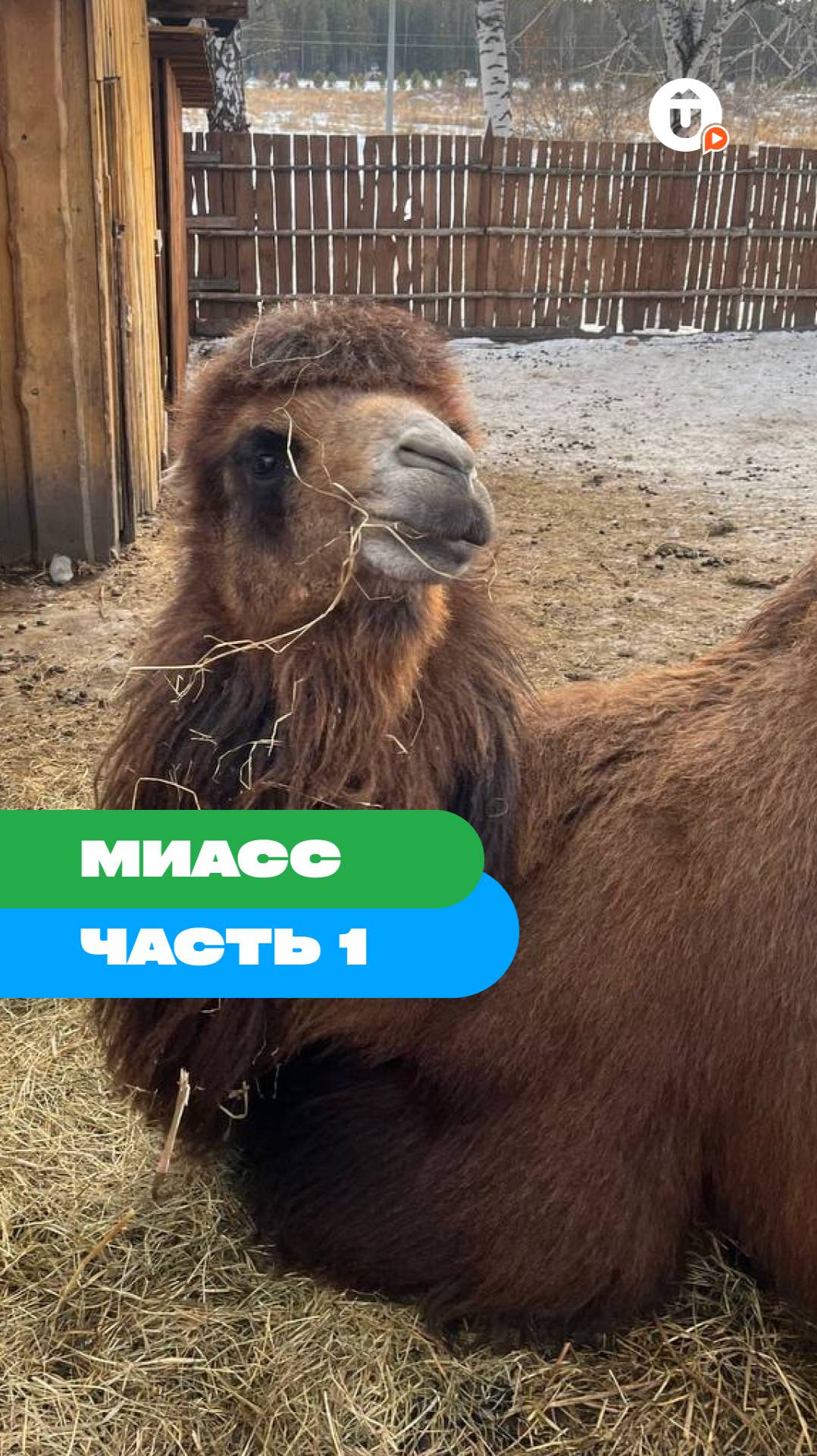 Миасс. Часть 1 смотреть онлайн