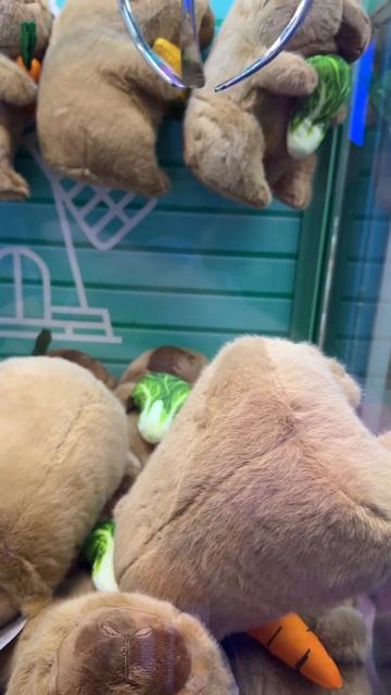 #bara #capybara #cabybara #capy #cute #kapybara #fyp смотреть онлайн