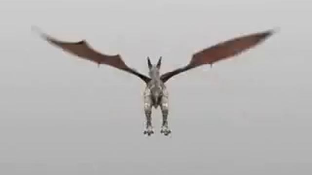 Dragon flight смотреть онлайн