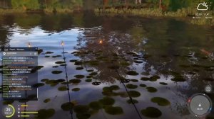 Прокачка КИТАЙСКОГО аккаунта - 5 ЧАСТЬ... ● Русская Рыбалка 4 | РР4