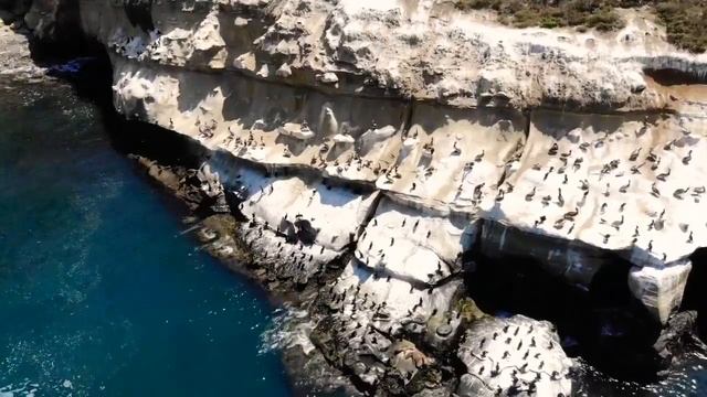 La Jolla Cove California Drone Flight
