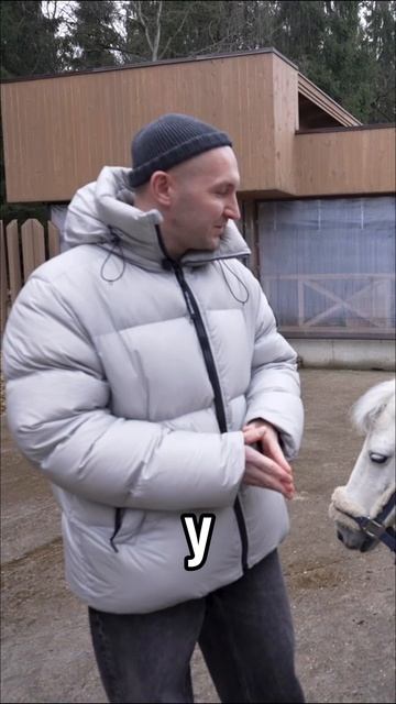 А какие у вас ассоциации со словом "Лошадь"? смотреть онлайн