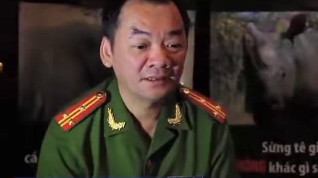 Vietnamese officials vow to crack down on rhino poaching смотреть онлайн