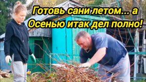 ВОТ ЭТО НАХОДКА | ЦЕНА ПРОСТО ОГОНЬ | Дом в деревне | Сельские будни