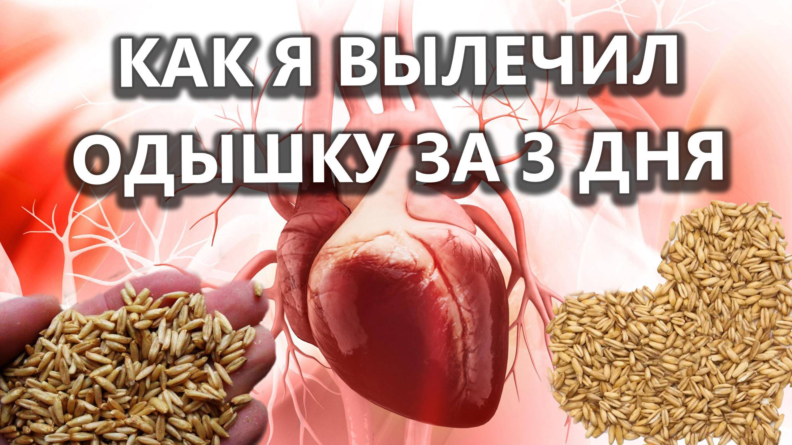 Польза овса для сердца. Чем полезен овес? смотреть онлайн