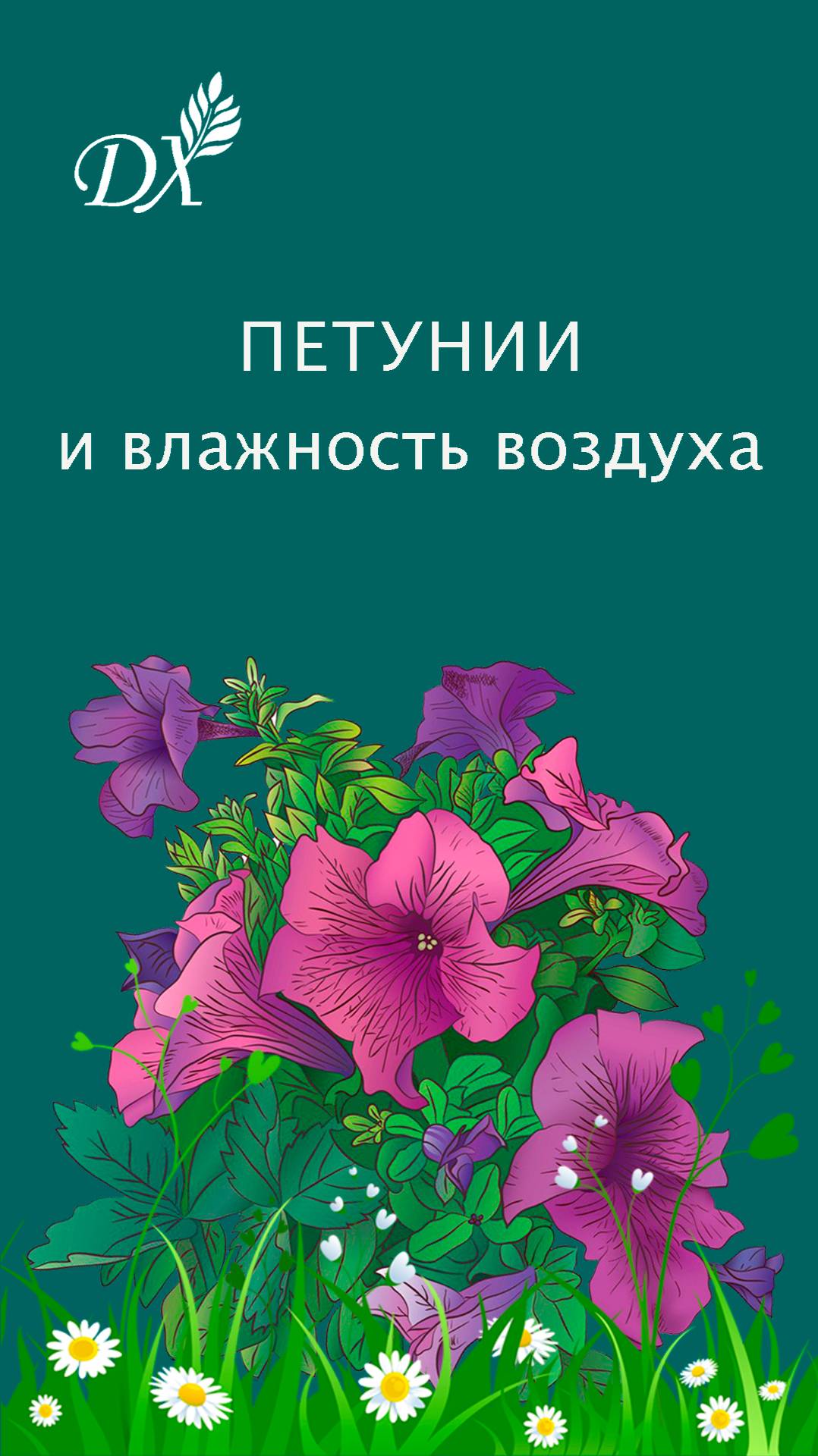 Петунии в режиме сбережения