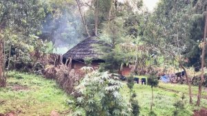 Эфиопия. Часть 7. Добыча морганита и тантала.