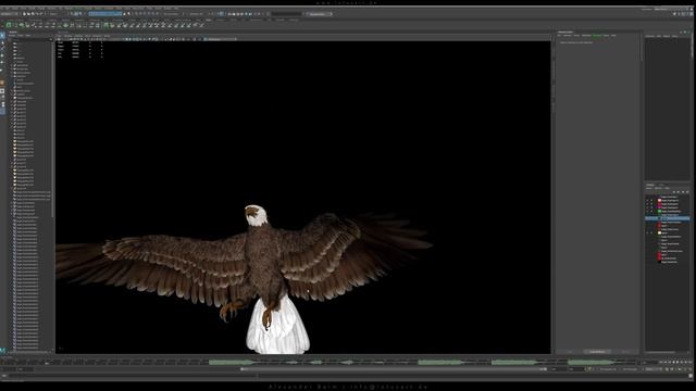 Bald Eagle 🦅 RIGGED 3D Model. 💻 Preview in Maya. Bird Rigg. 🛠 смотреть онлайн