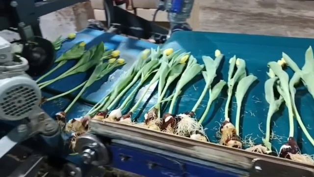 18 Герасимова смотреть онлайн