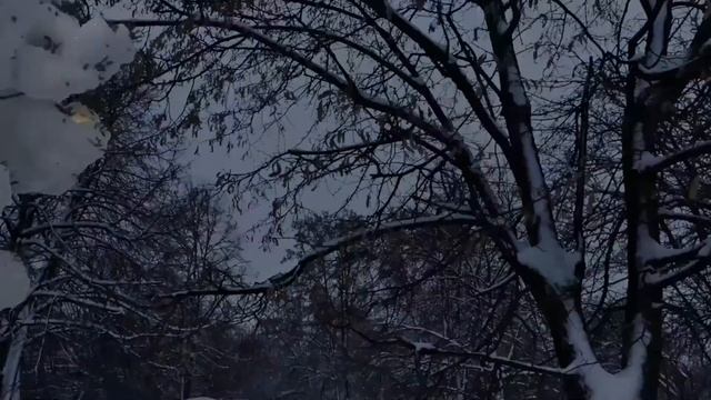 Merry Christmas | Blender animation | Eevee render смотреть онлайн