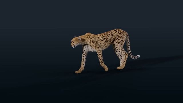 CGI 3D Animated Animal in Blender | Walking Cheetah Showreel | VFX Grace смотреть онлайн