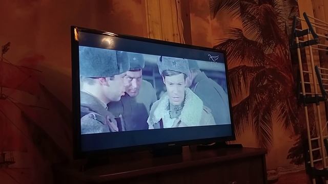 1000131293.mp4 смотреть онлайн