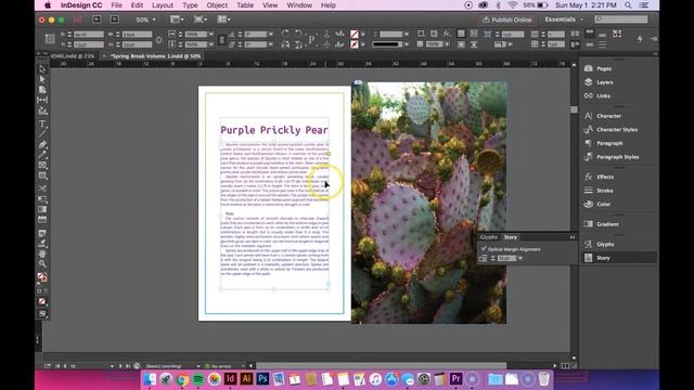 InDesign: Optical Margin Alignment смотреть онлайн