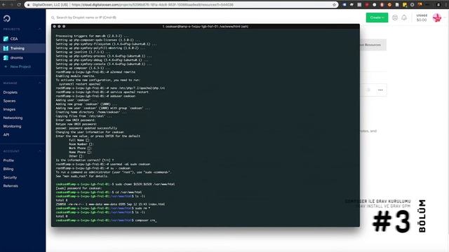 GRAV CMS Composer Kurulumu ve GPM İle Plugin Yükleme смотреть онлайн