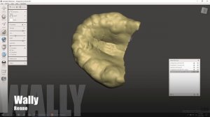meshmixer denture tutorial