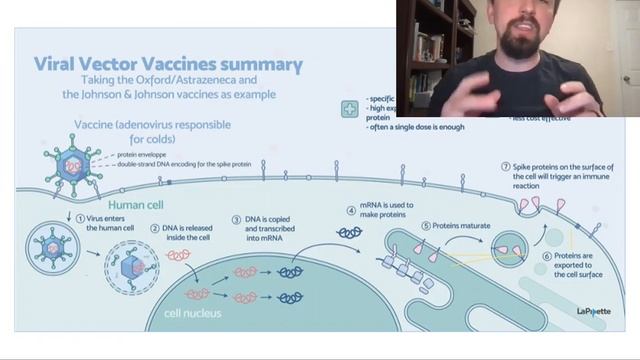 COVID 19 Вакцинація смотреть онлайн