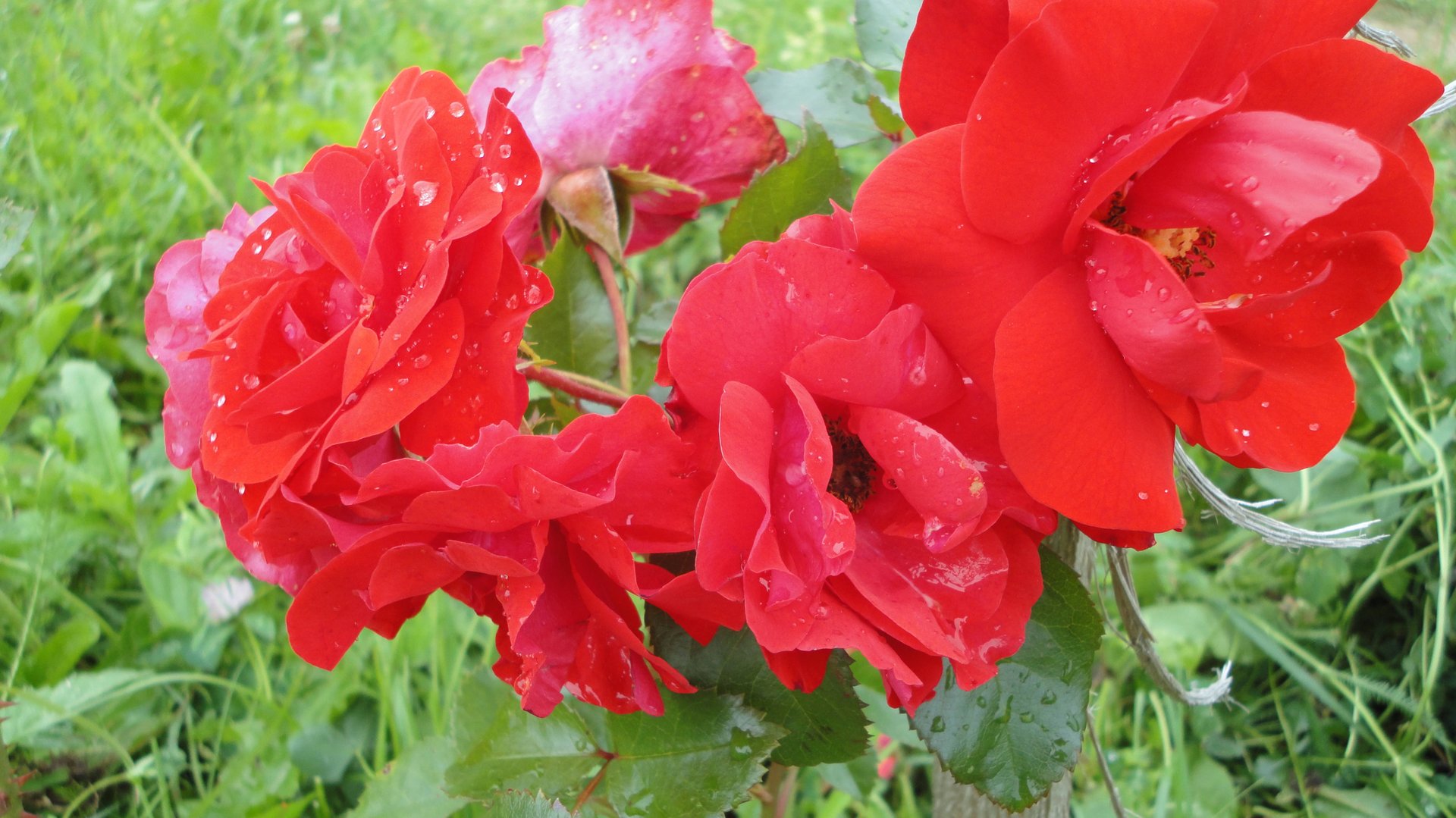 Любимые песни 60-70 часть 2