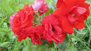 Любимые песни 60-70 часть 2