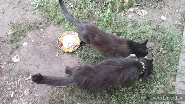 Славянск.03.08.22.. Почти Дискавери! Заходите,не стесняйтесь! смотреть онлайн