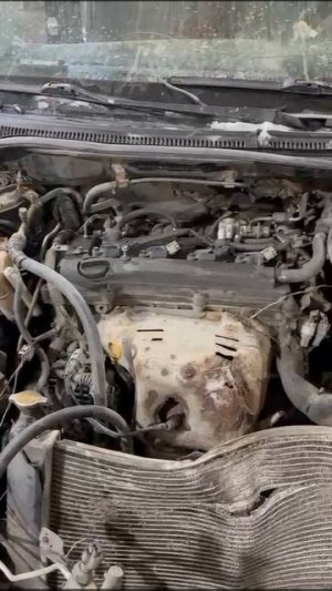 463 Toyota Avensis