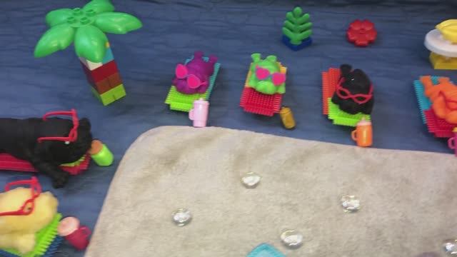 Резиновые собачки в бассейне сквиши на отдыхе на лежаках солнечные очки коктейли горка круги мопсы смотреть онлайн