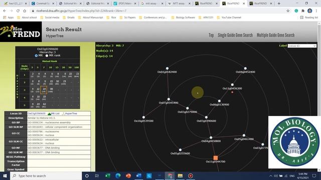 Rice FREND: how to identify protein to protein interaction смотреть онлайн