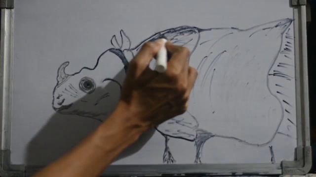 How to draw Rhinoceros animal смотреть онлайн